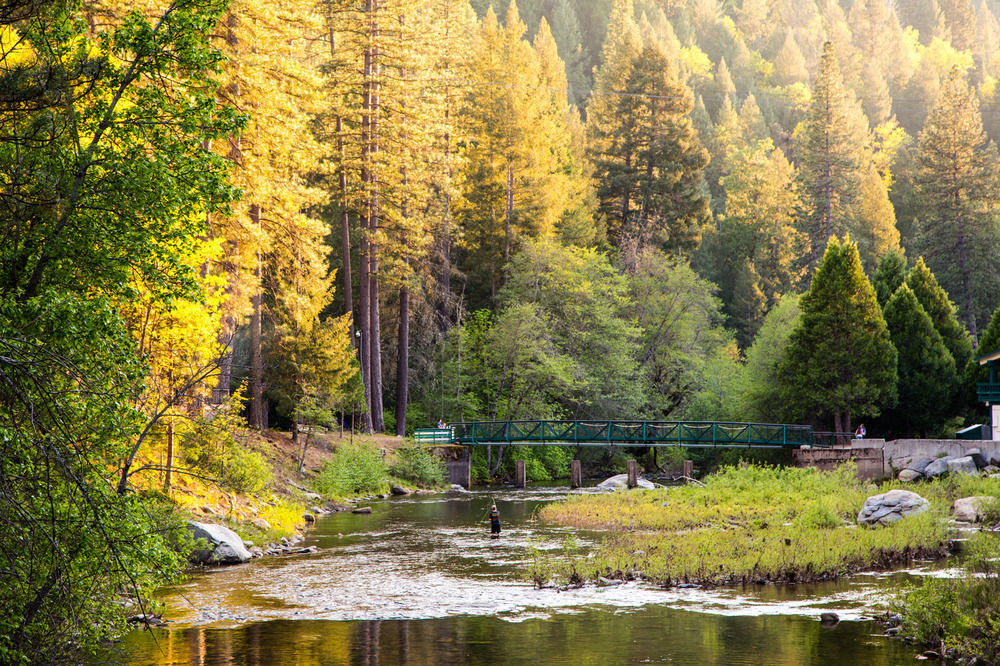 Yosemite Lakes Rv Resort Harden Flat エクステリア 写真